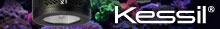 Kessil LED Lights