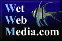 Wet Web Meadia
